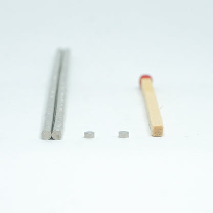 The image shows two cylindrical magnets alongside a matchstick for scale.